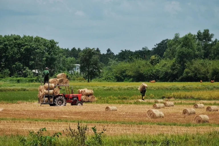 Contrasto allo sfruttamento lavorativo in agricoltura: workshop il 20 marzo a Siracusa